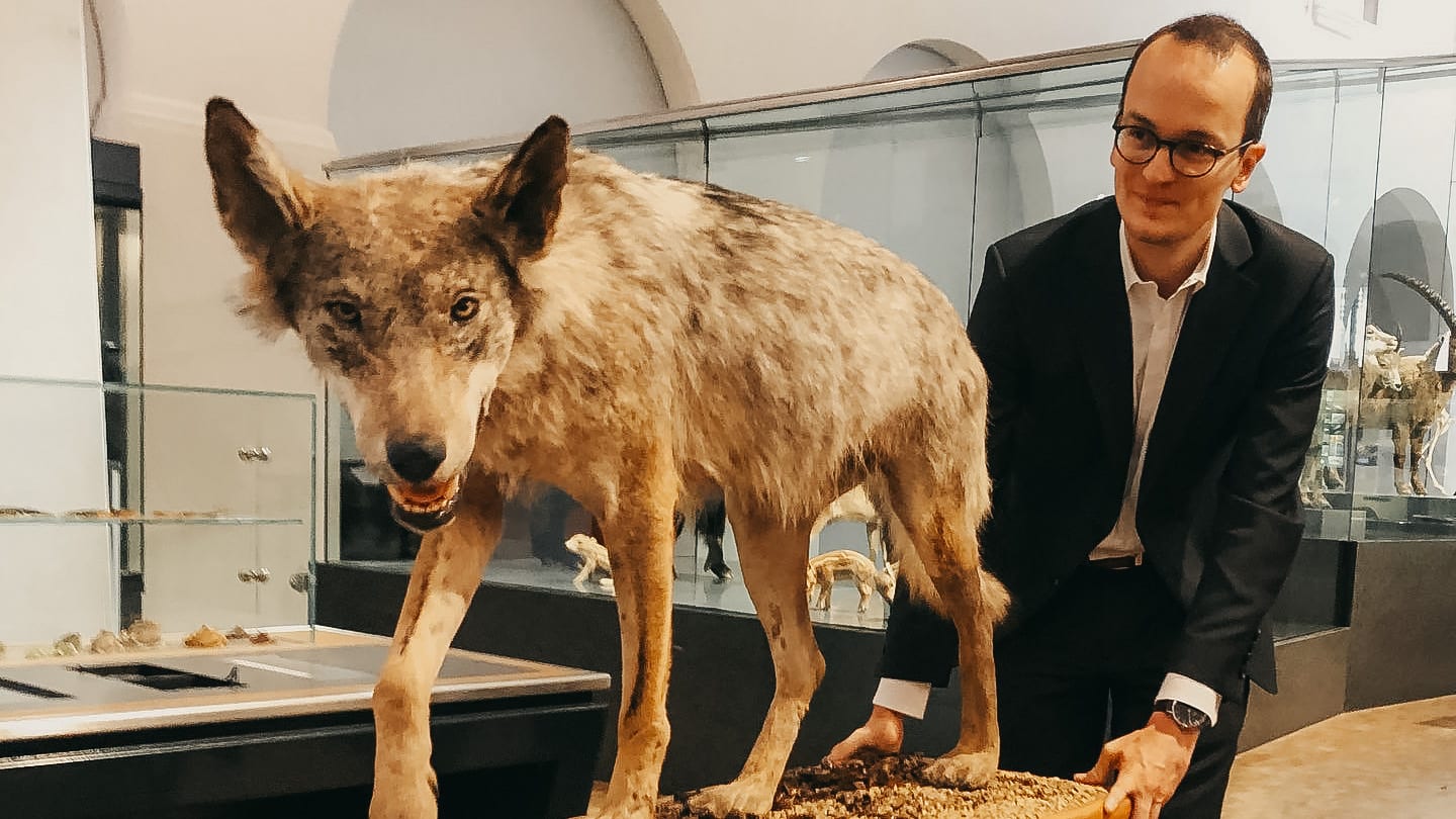 Regierungsrat Martin Neukom mit einem ausgestopften Wolf.