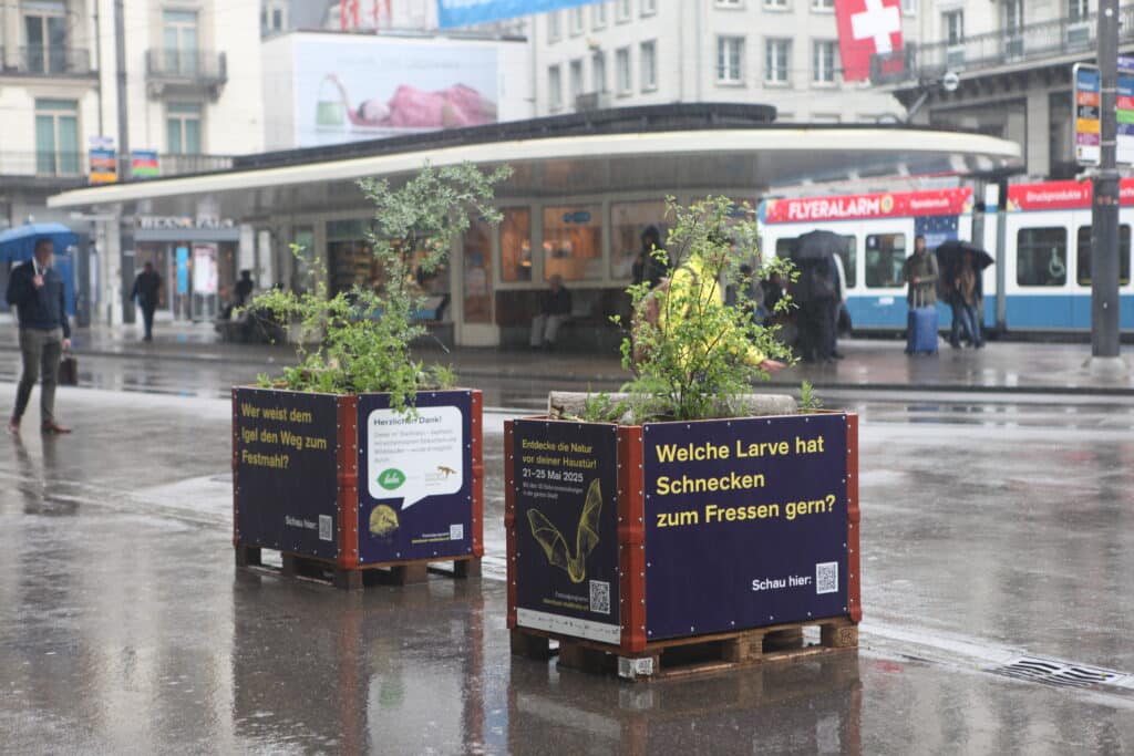 Auf dem Paradeplatz stehen ebenfalls zwei der Hochbeete von Abenteuer Stadtnatur.