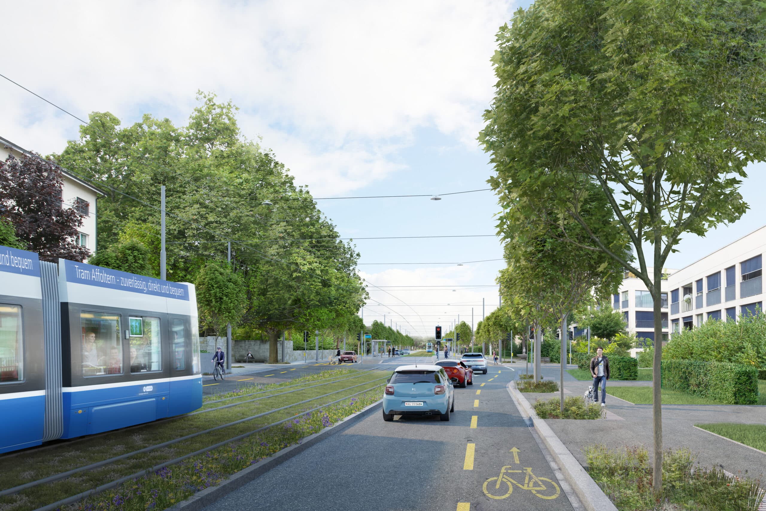 Visualisierung des geplanten Projekts Tram Affoltern. Zu sehen ist das Tram auf dem Tramtrasse, daneben die Autospur sowie der Velostreifen und das Trottoir. Alles ist grün, das Bild sieht idyllisch aus.
