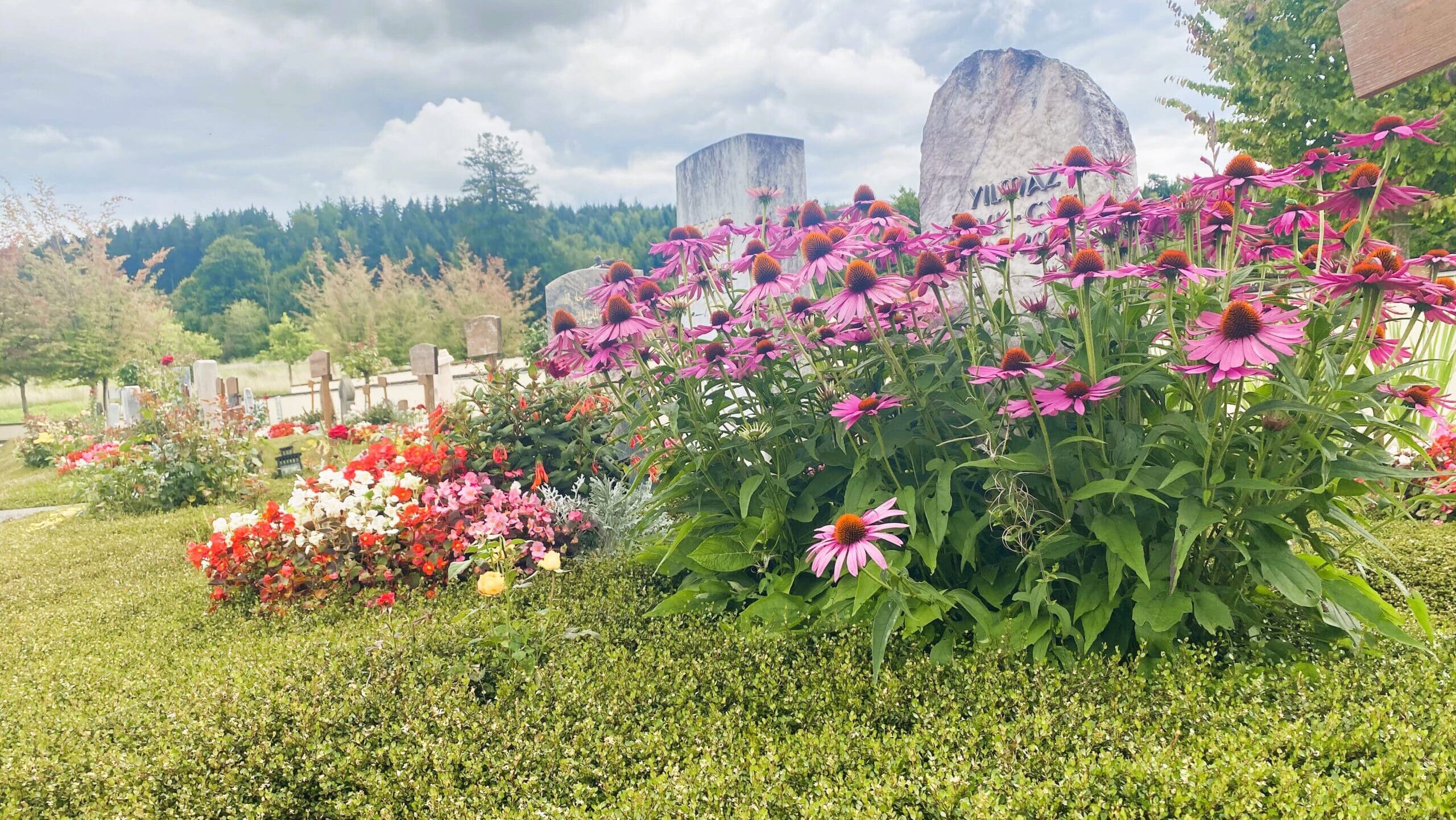 Auf dem Bild sind Grabsteine muslimischer Gräber zu sehen im Friedhof Witikon. Die Namen sind aus Diskretionsgründen teilweise durch Blumen verdeckt.