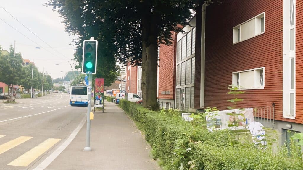 Auf dem Bild sieht man einen der Bäume auf Privatgrund, die für das Tramprojekt weichen müssen.