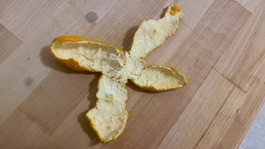 Auf dem Bild zu sehen ist eine Mandarinen-Schale, die symbolisch steht für die Verletzlichkeit der menschlichen Psyche - und der Frau.