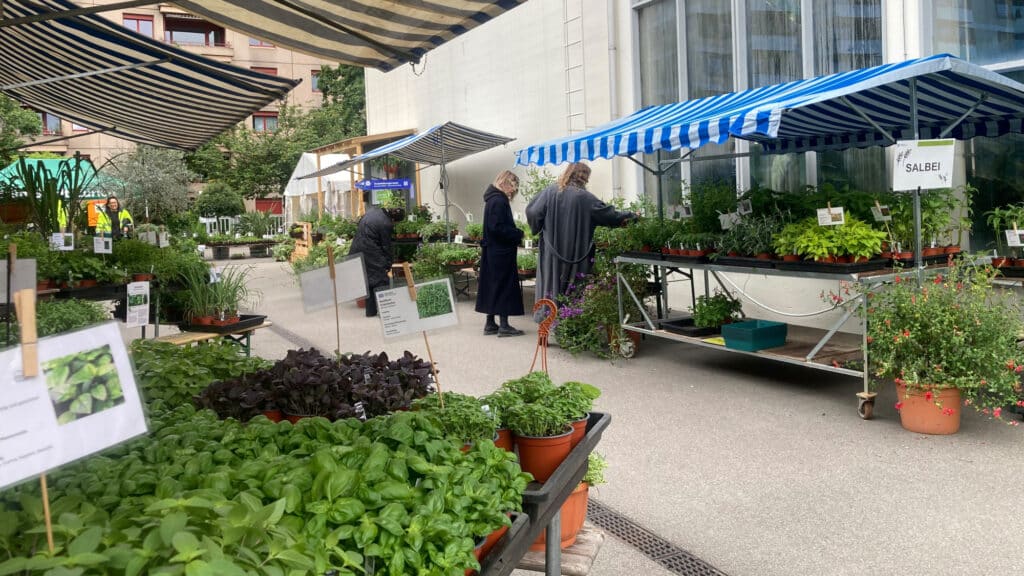 Leute laufen zwischen Ständen mit Setzlingen umher und schauen sich die Waren genauer an.