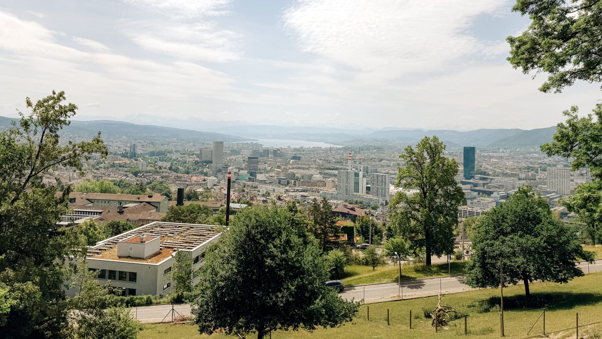 Blick über die Stadt Zürich von der Waid mit See, Häusern, Prime Tower etc. im Hintergrund und Bäumen im Vordergrund.