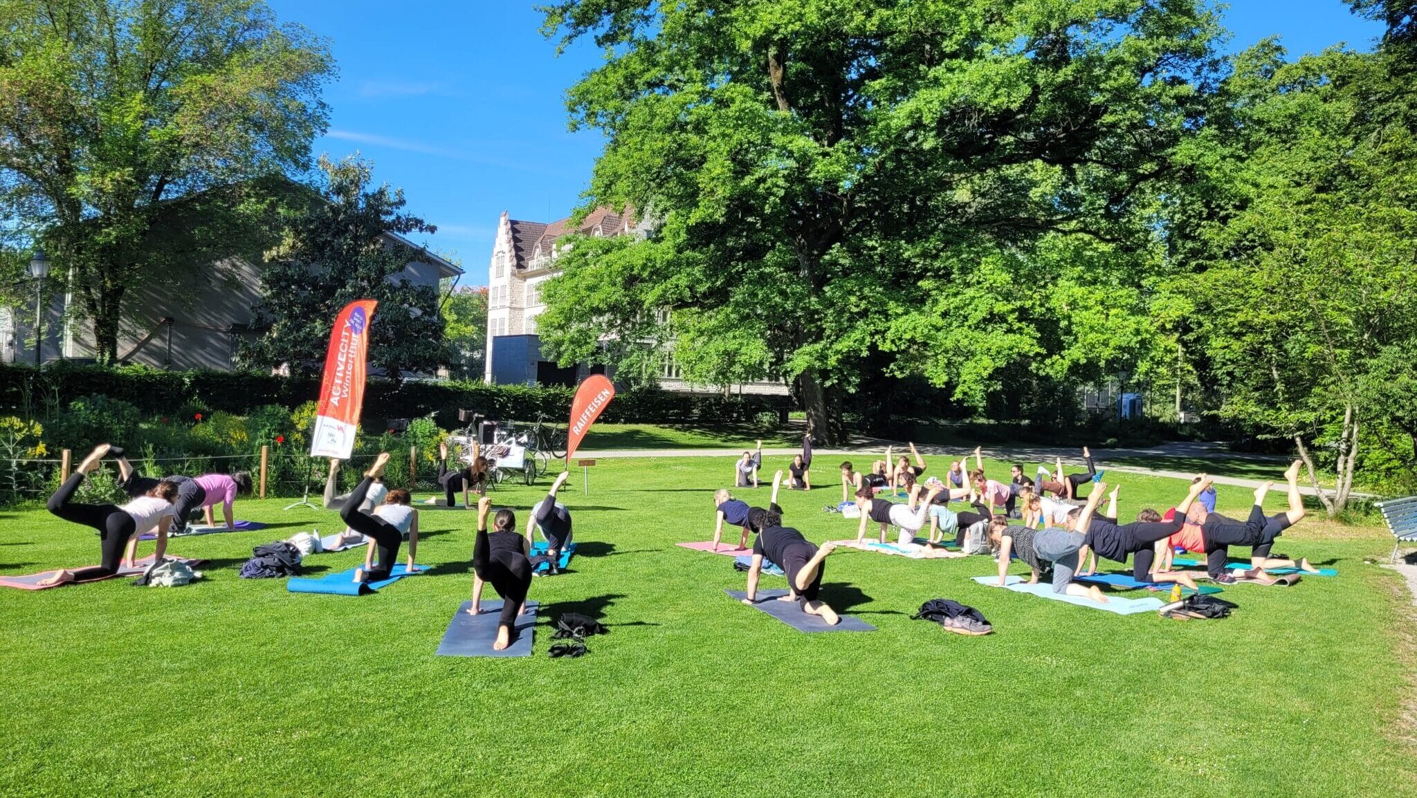 Gruppe beim gemeinsamen Yoga auf Matten in einem sonnigen Park mit grossen Bäumen.
