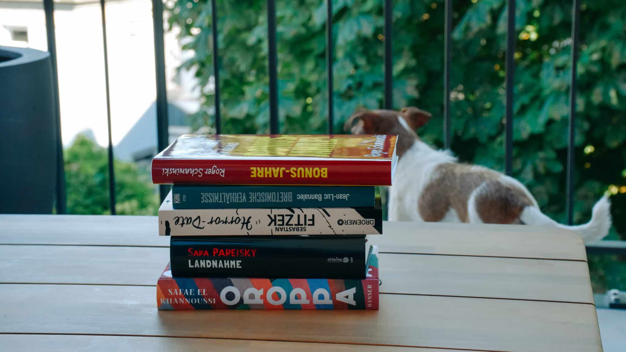 Stapel mit fünf Buchtipps auf einem Holztisch, im Hintergrund ein Hund auf dem Balkon.